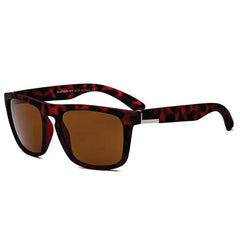 Men's Brazil Gabana Sunglasses